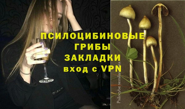a pvp Верея