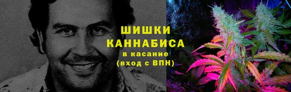 a pvp Верея