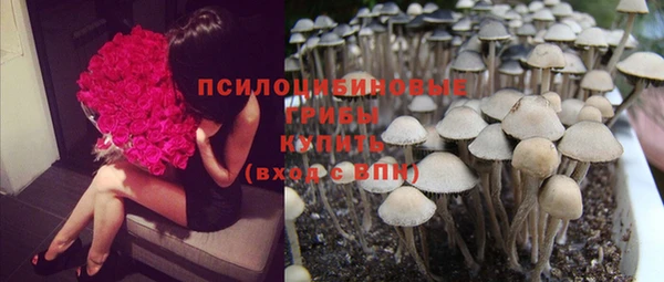 молекула духа Верхнеуральск