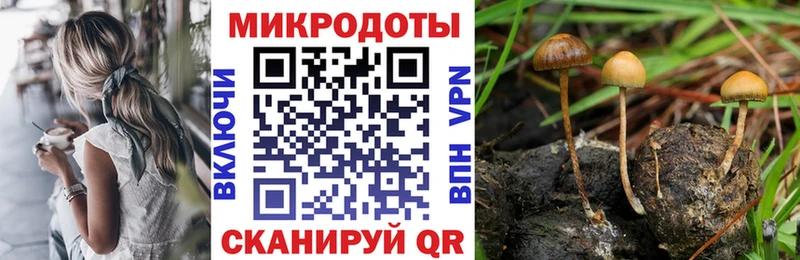 Галлюциногенные грибы Cubensis Купить Выкса